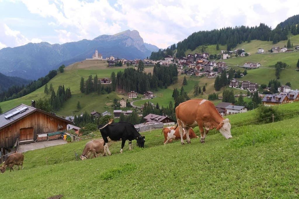 App Col Di Lana - Agriturismo La Majon Da Col Колле-Санта-Лучия Экстерьер фото